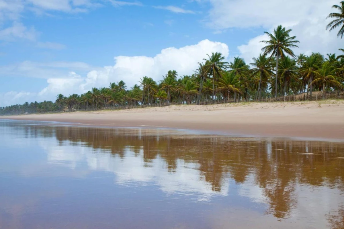 Grand Palladium Imbassai Resort & Spa - Hotel Photo 23