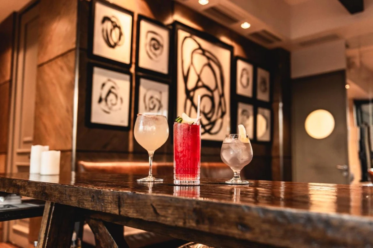 The Singular Santiago Lastarria - Hotel Photo 20