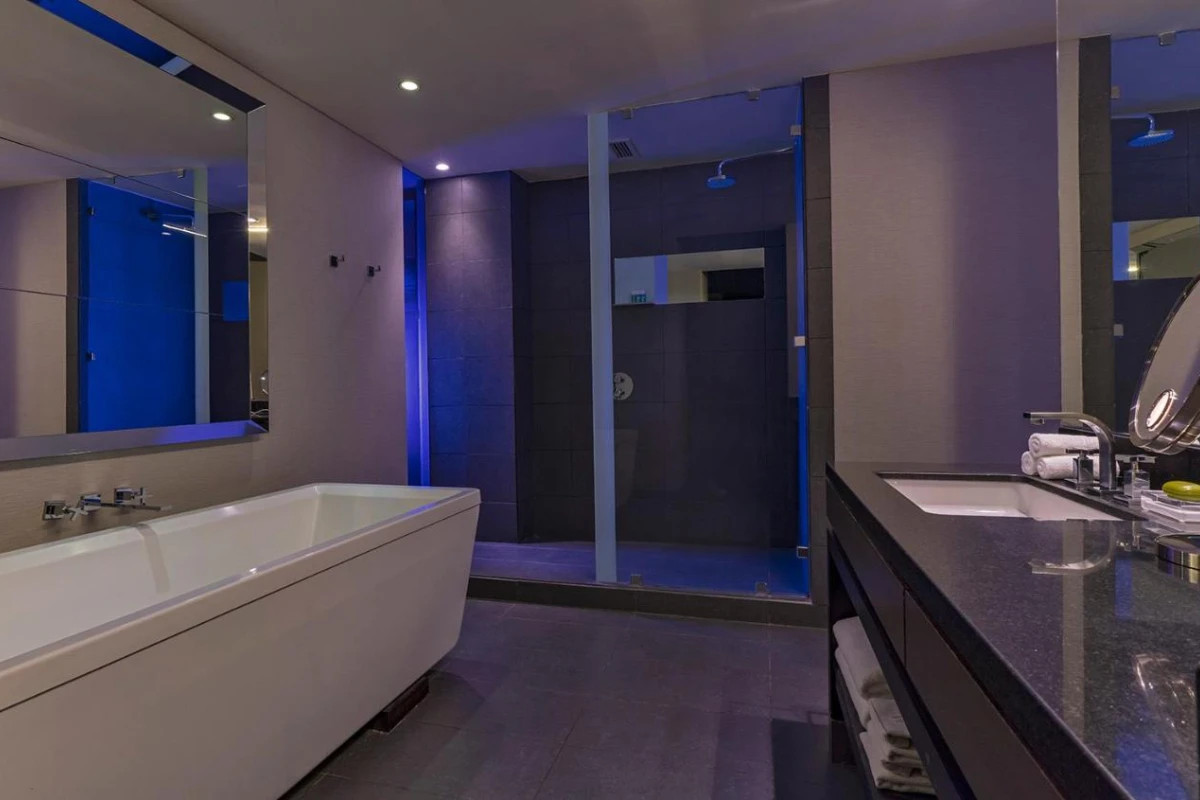 W Santiago - Hotel Photo 4