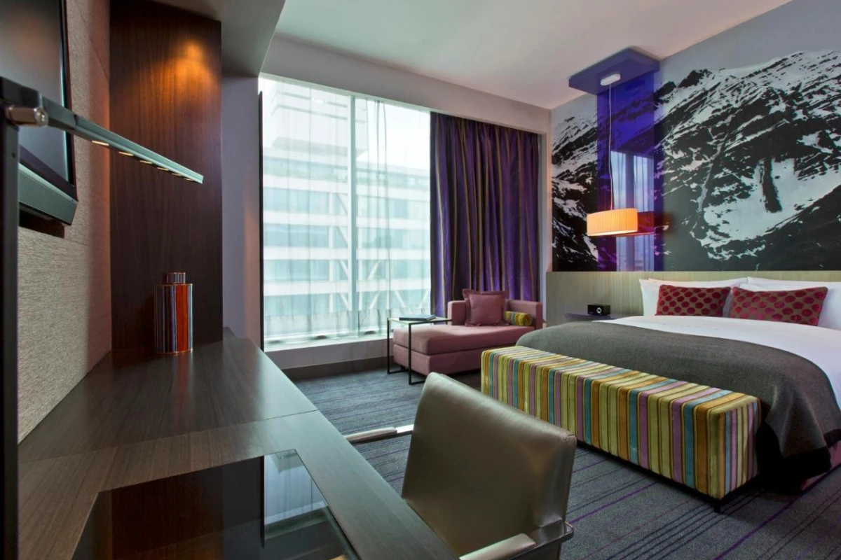 W Santiago - Hotel Photo 10