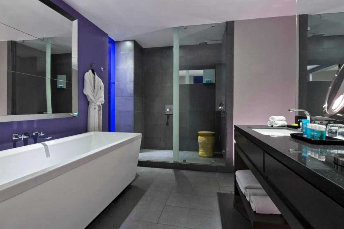 W Santiago - Hotel Photo 12