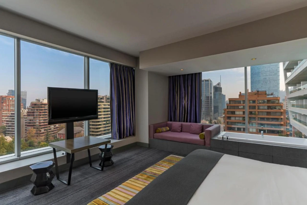 W Santiago - Hotel Photo 15