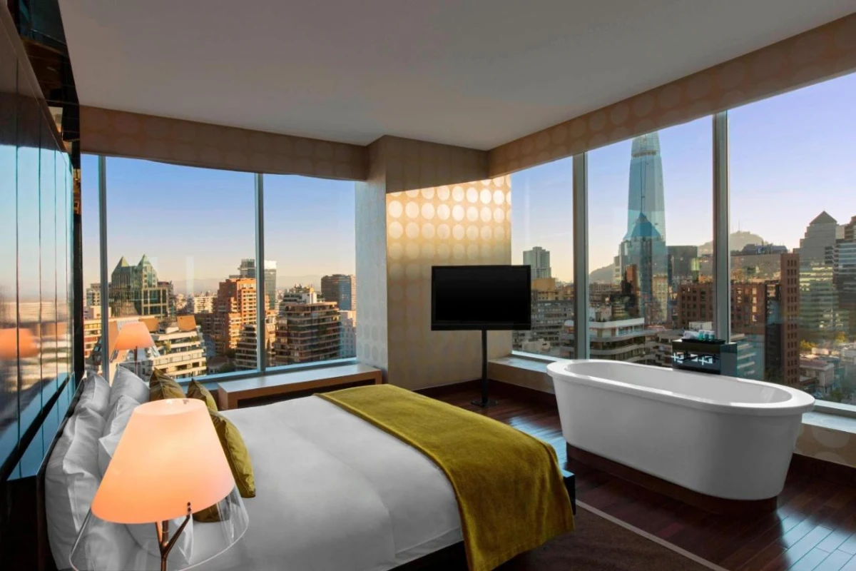 W Santiago - Hotel Photo 34