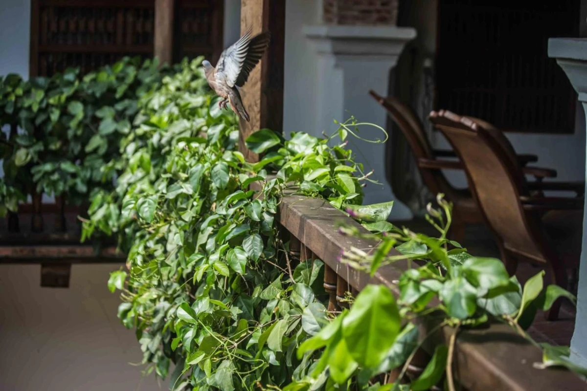 Hotel Boutique Casa Del Arzobispado - Hotel Photo 8