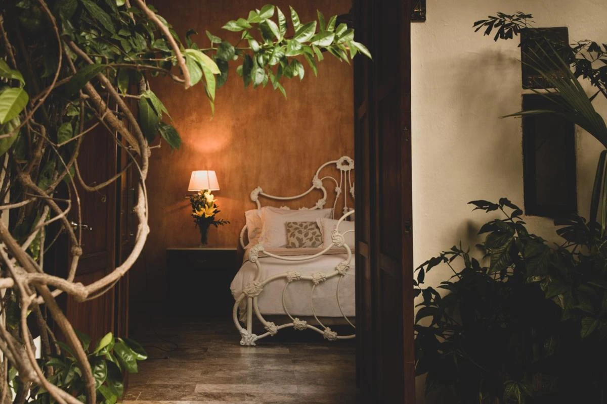 Hotel Boutique Casa Del Arzobispado - Hotel Photo 39