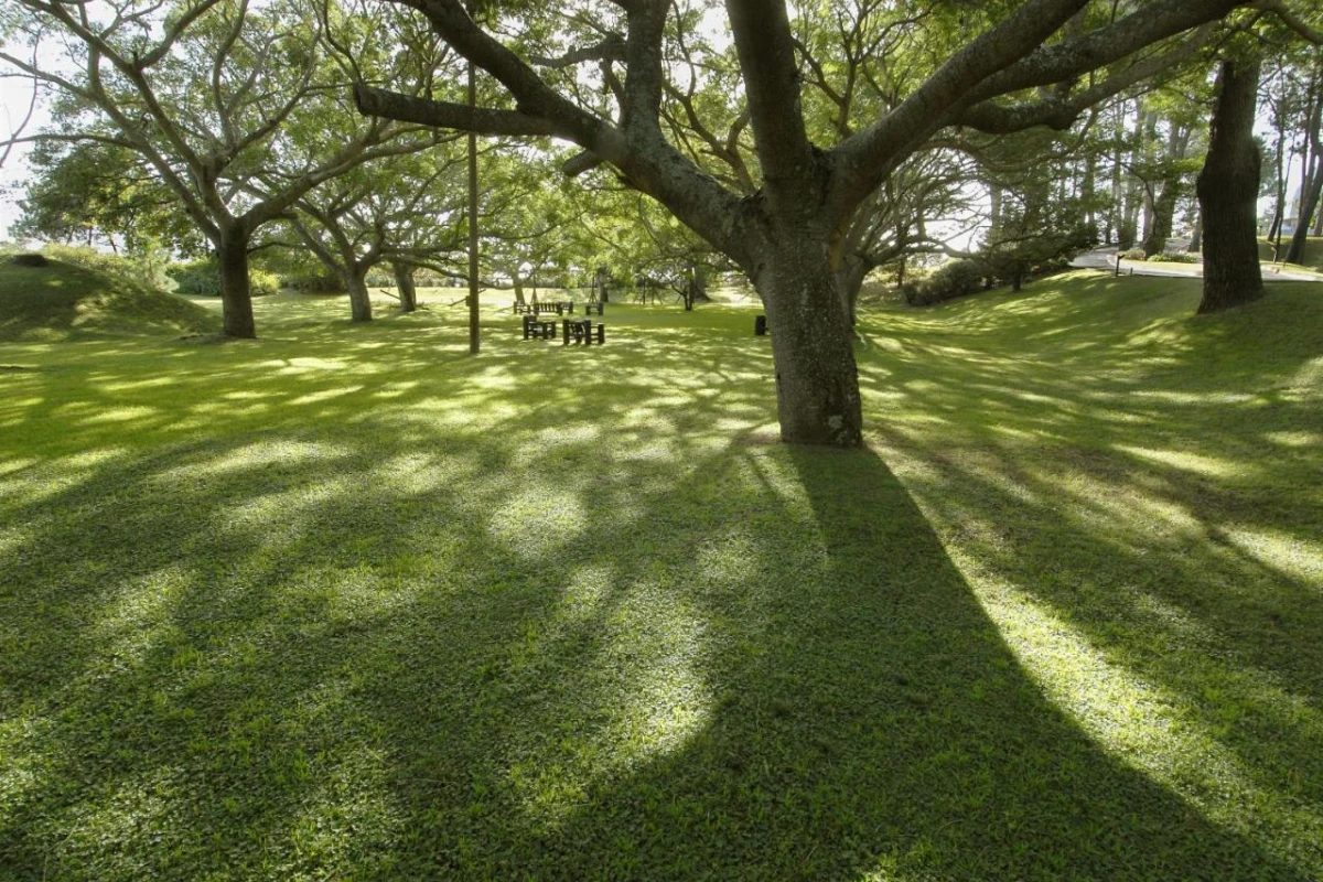 Hotel Del Lago Golf & Art Resort - Hotel Photo 28