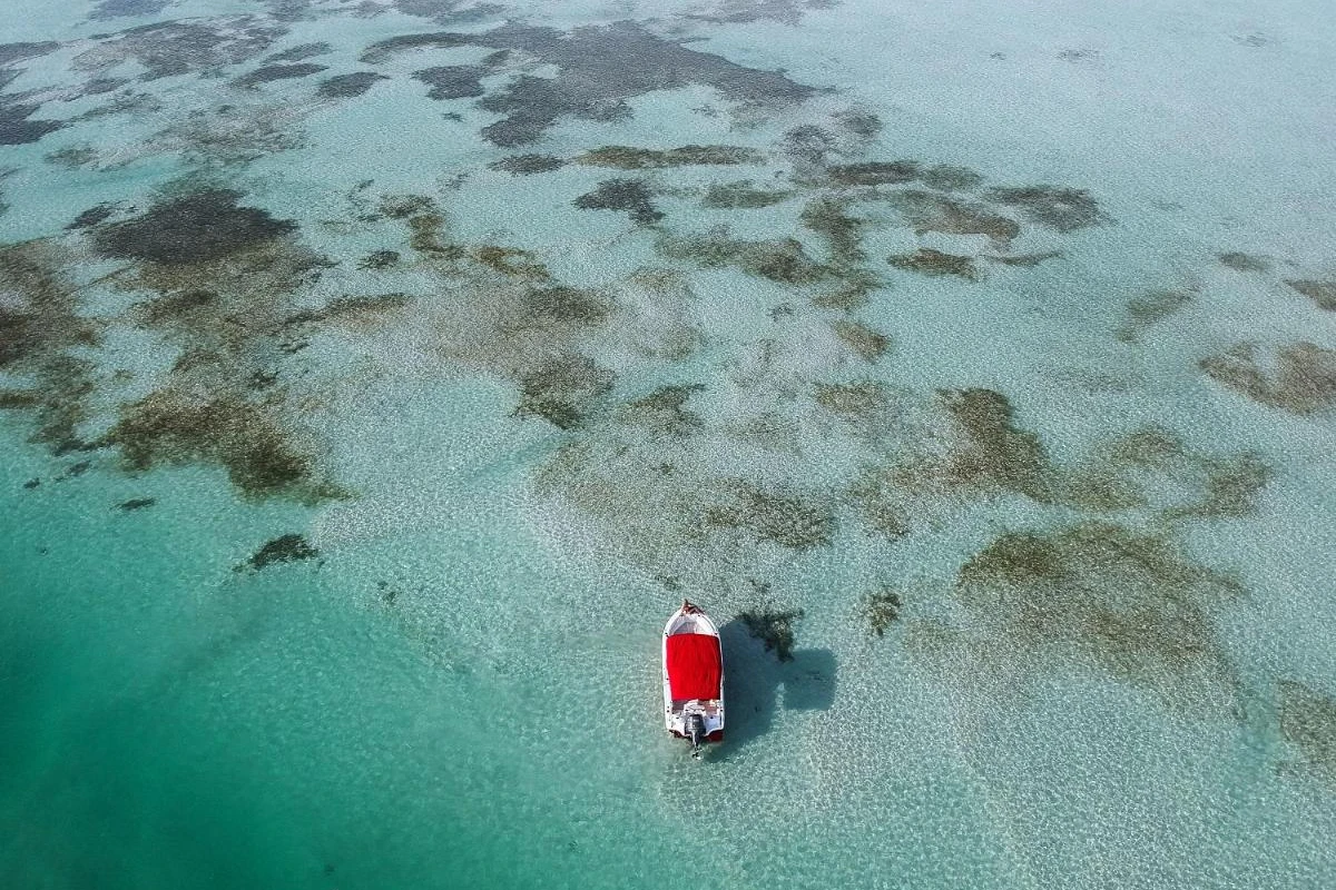 The Perry Hotel Key West - Hotel Photo 38