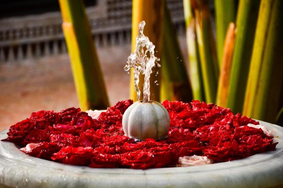 Riad Ilayka - Hotel Photo 17