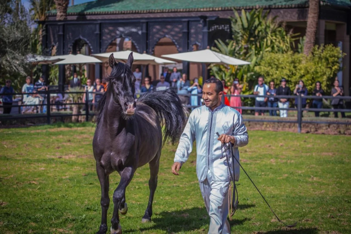 Selman Marrakech - Hotel Photo 13