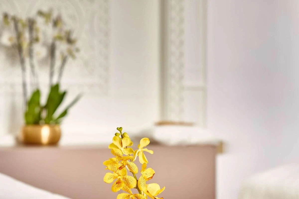 Raffles Al Areen Palace Bahrain - Hotel Photo 29