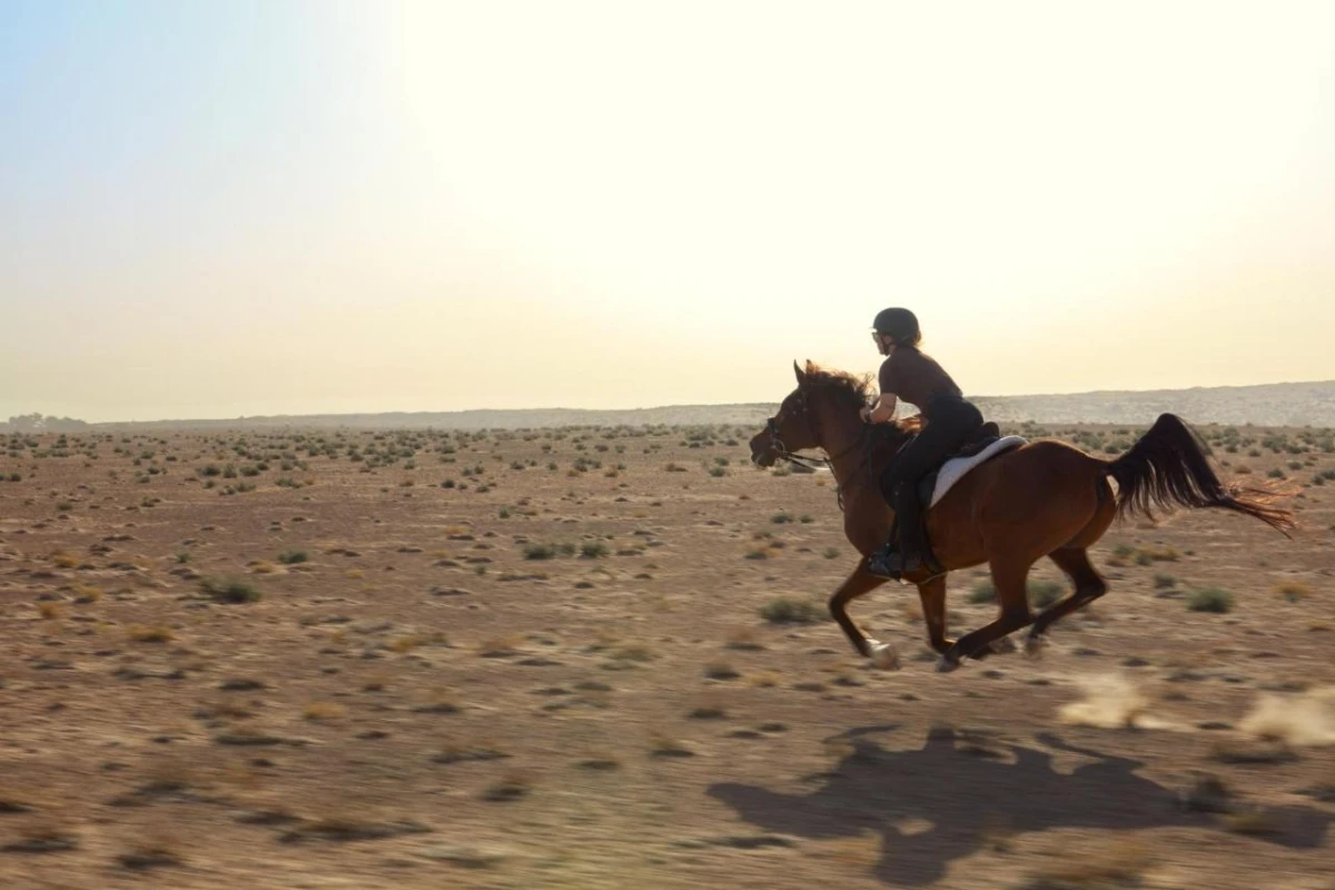 Al Maha a Luxury Collection Desert Resort & Spa - Hotel Photo 4