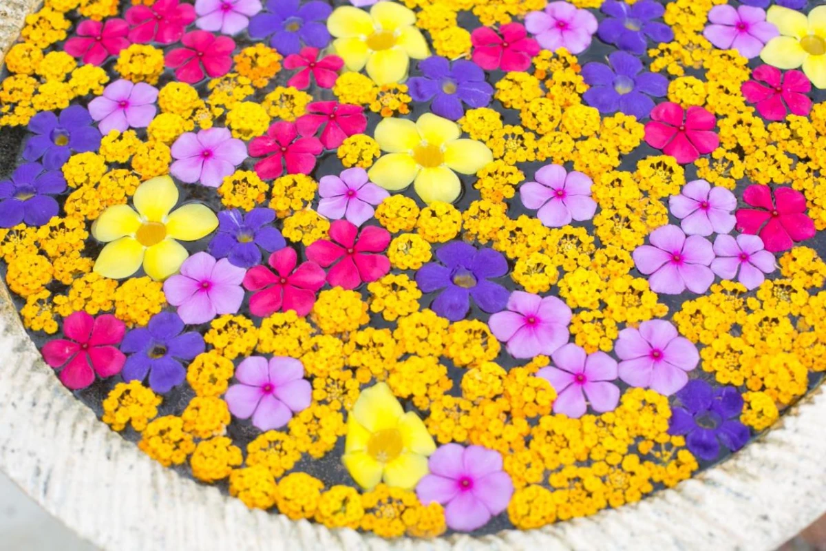 Le Duc De Praslin & Villas - Hotel Photo 18