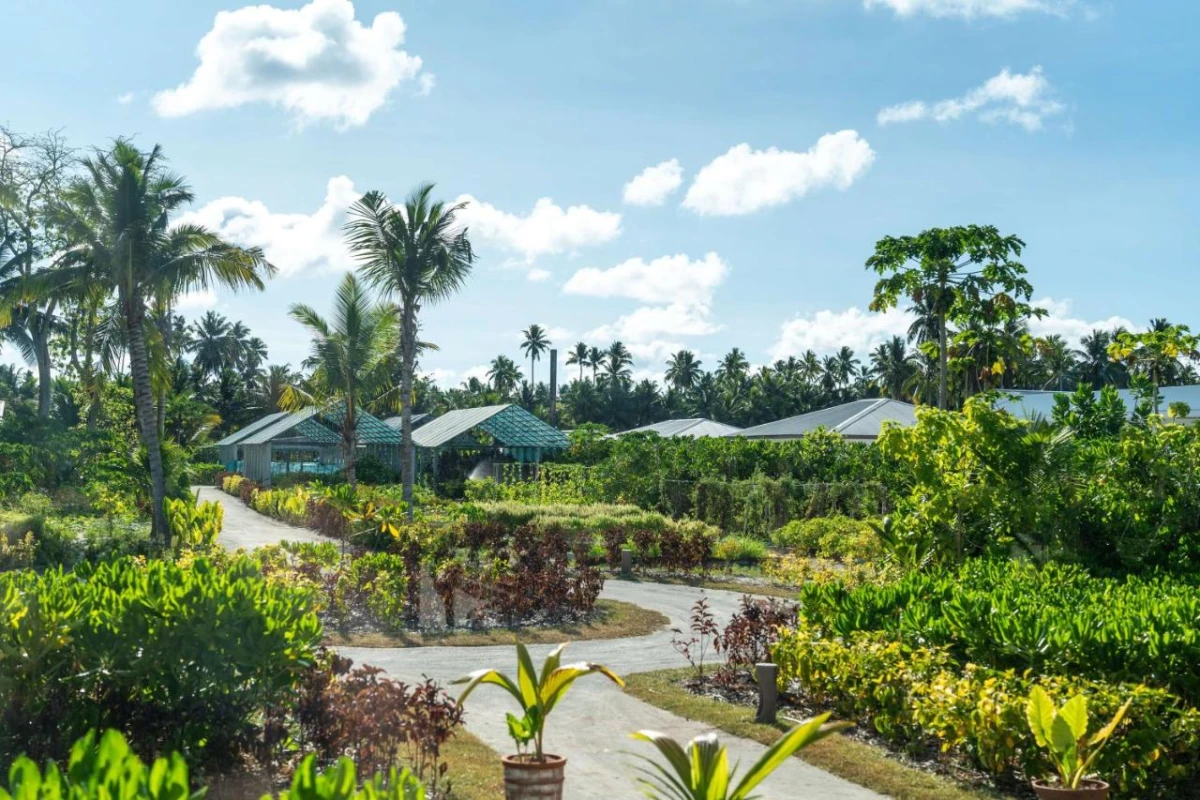 Waldorf Astoria Seychelles Platte Island - Hotel Photo 9