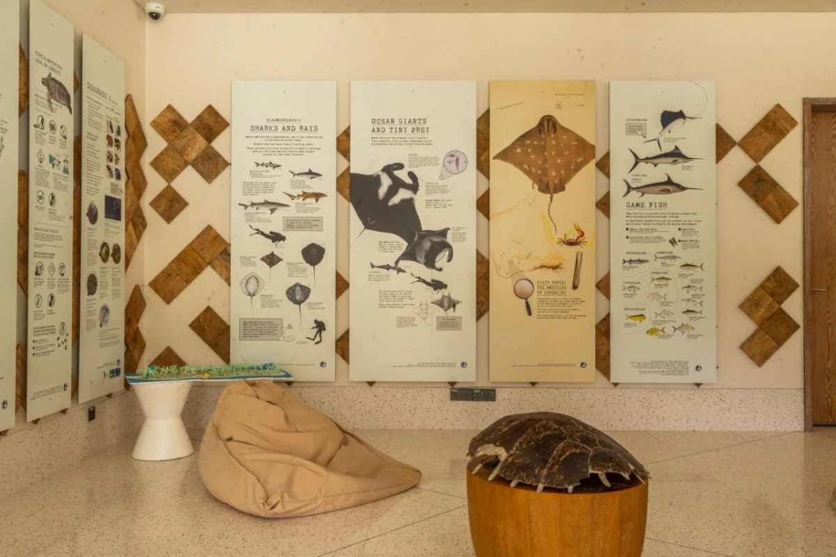 Waldorf Astoria Seychelles Platte Island - Hotel Photo 11