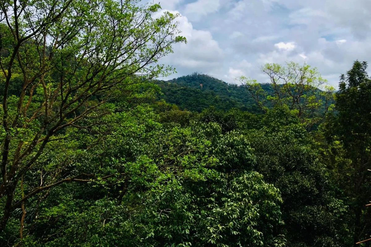 Coorg Wilderness Resort & Spa - Hotel Photo 25