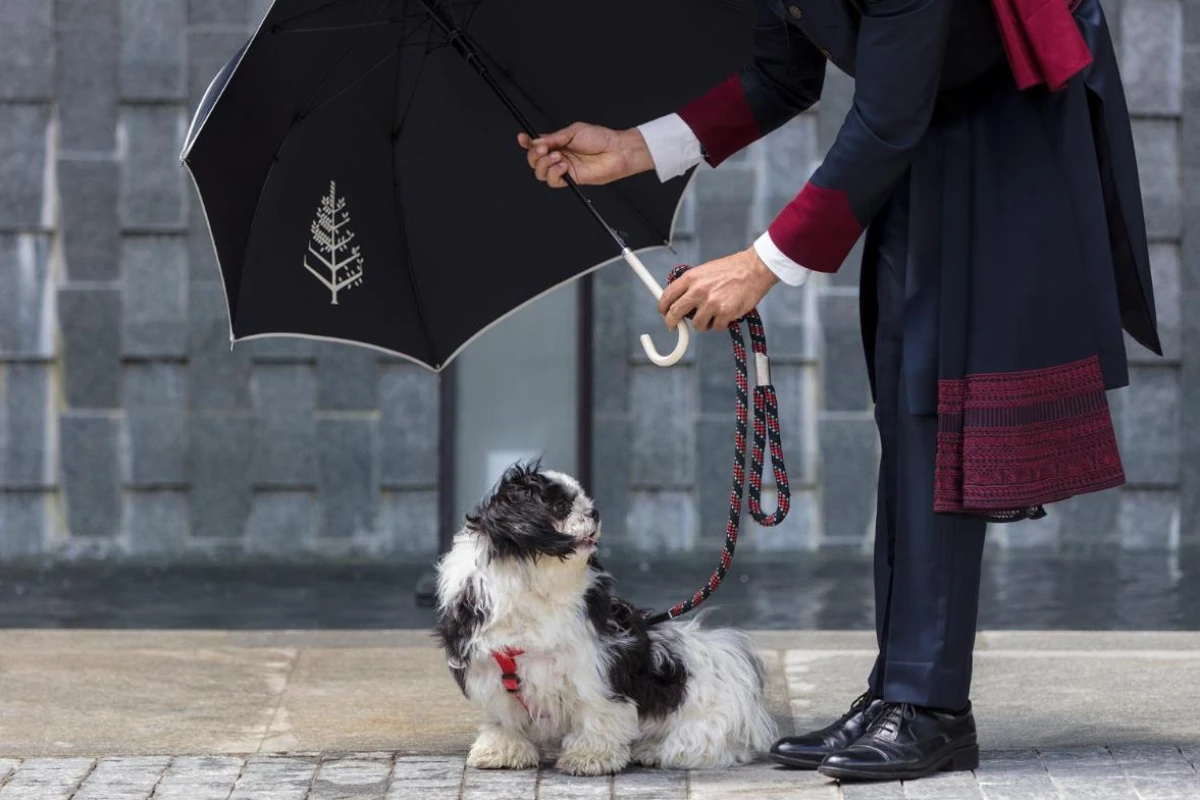 Four Seasons Hotel Bengaluru At Embassy One - Hotel Photo 2