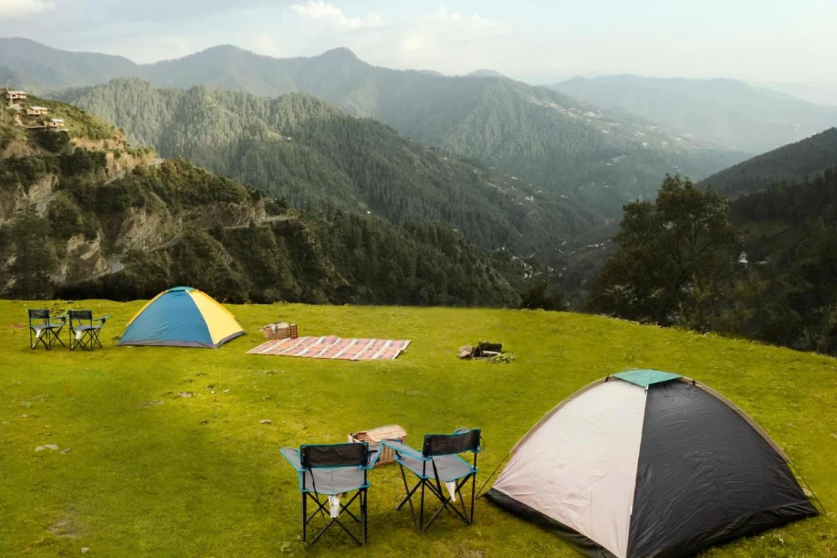 Taj Theog Resort & Spa - Hotel Photo 29