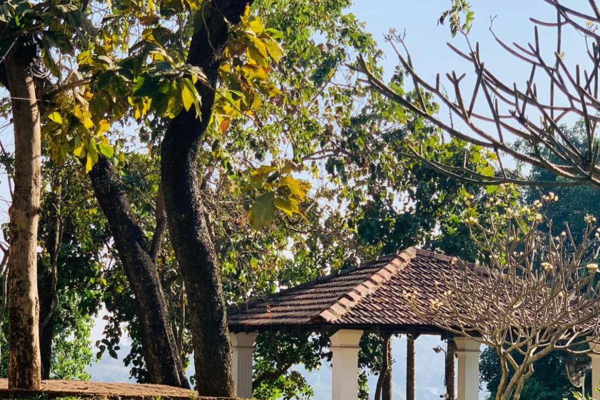 The Postcard Velha - Hotel Photo 16