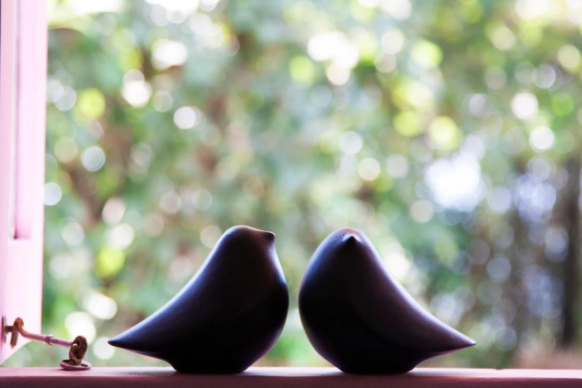 The Postcard Velha - Hotel Photo 17