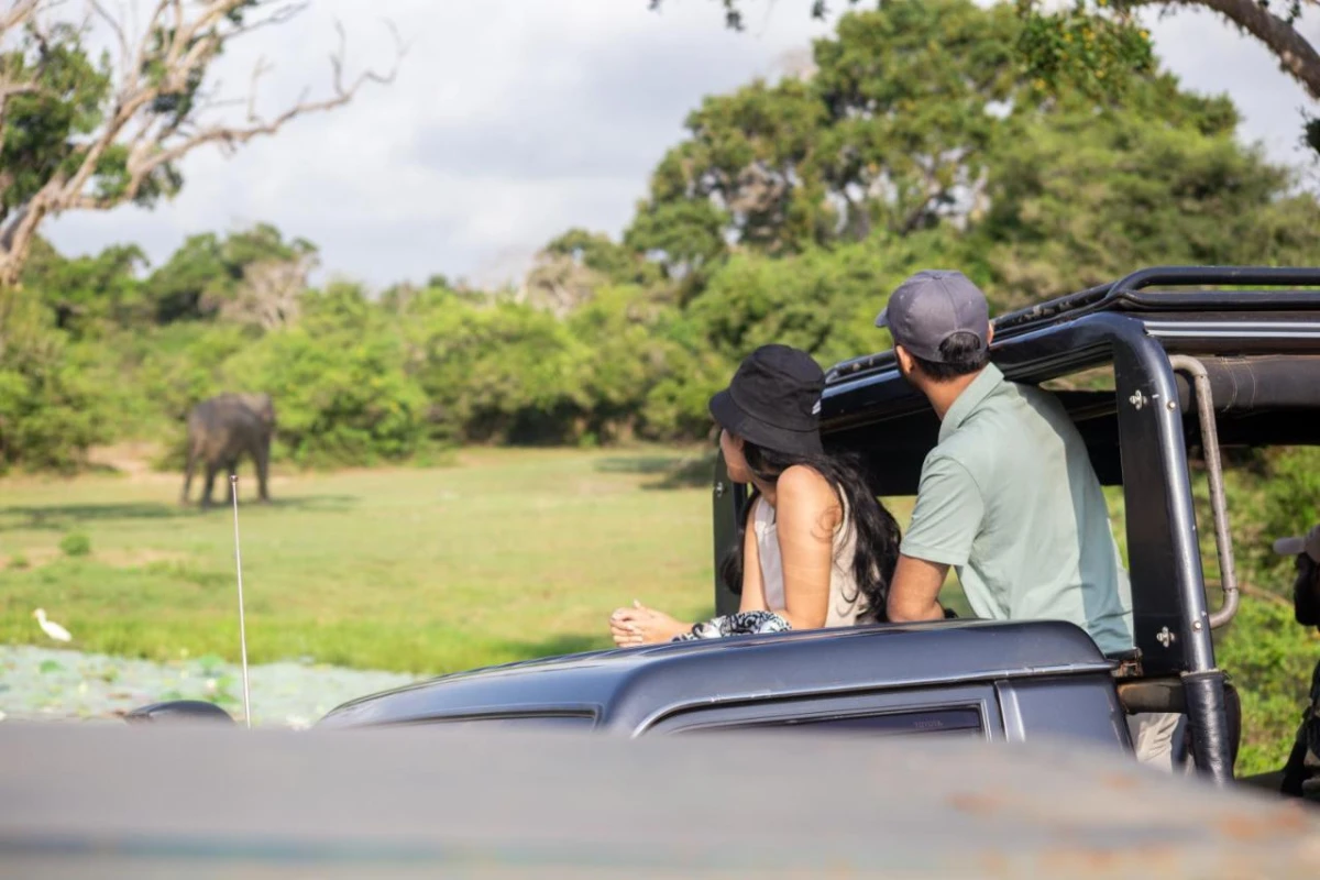 Jetwing Jungle Lodge A Luxury Reserve - Hotel Photo 45