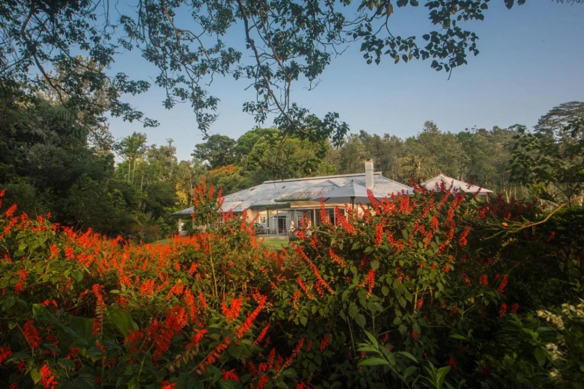 Nine Skies - Hotel Photo 39