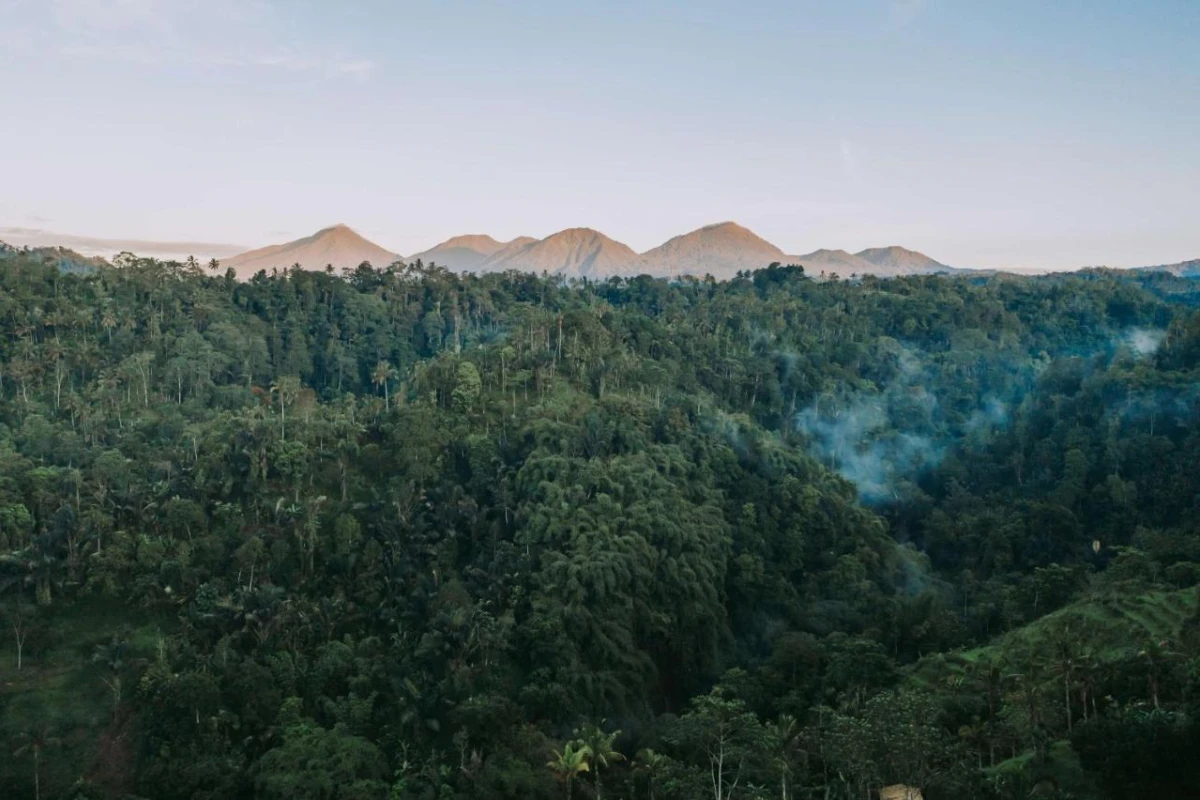 Buahan a Banyan Tree Escape - Hotel Photo 47