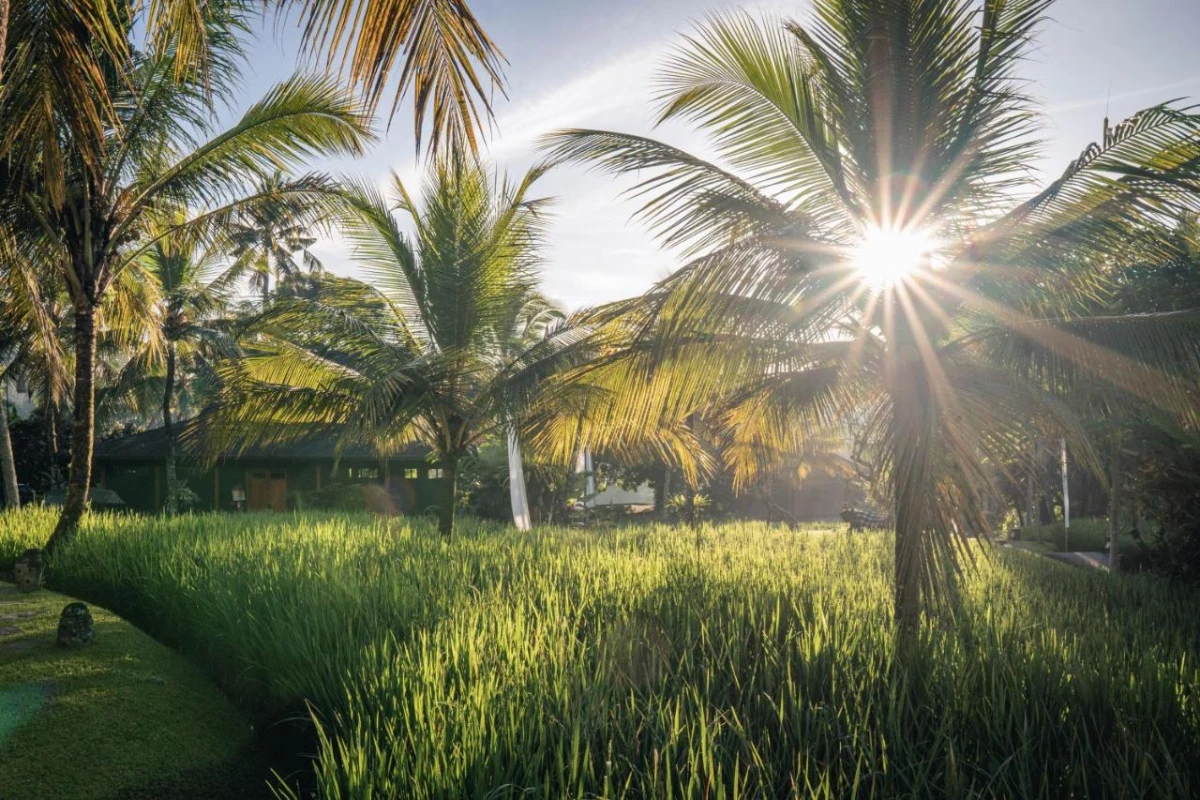 Chapung Sebali - Hotel Photo 3
