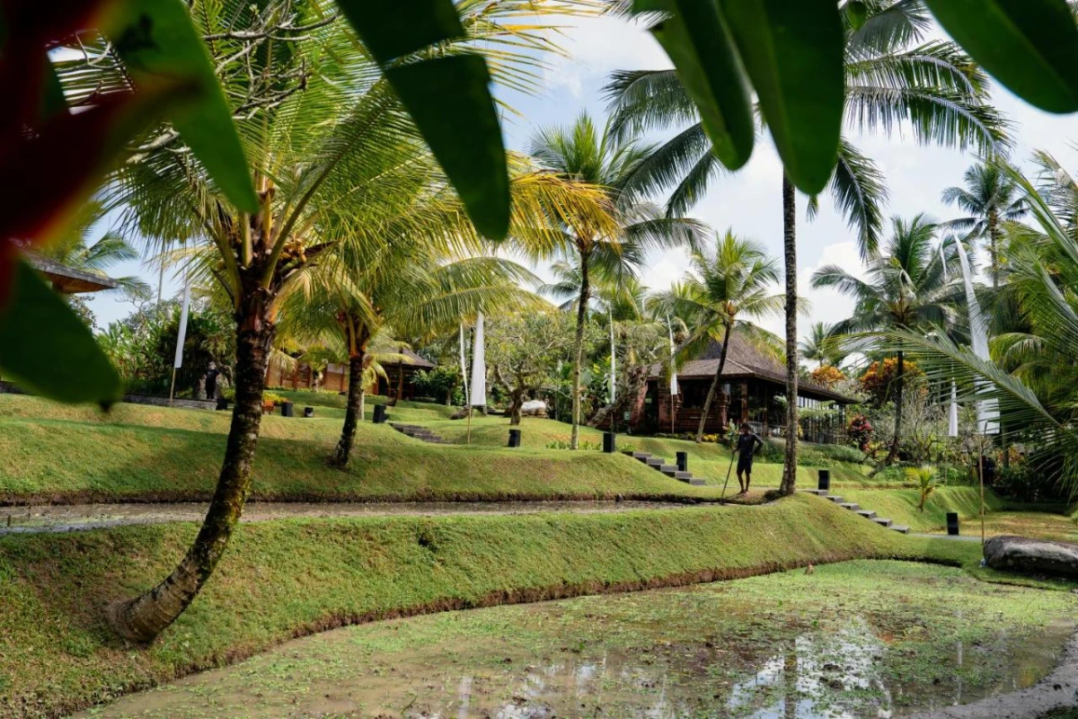 Chapung Sebali - Hotel Photo 14