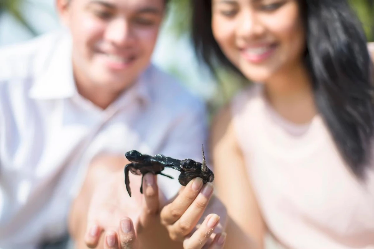 Jeeva Klui Resort - Hotel Photo 16