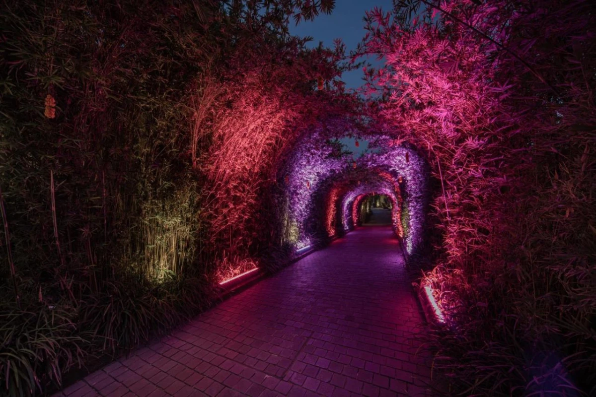 Kaamala Luxury Resort & Spa - Hotel Photo 16