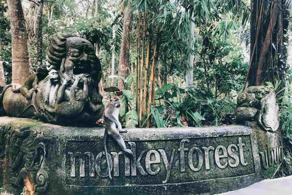 Kaamala Luxury Resort & Spa - Hotel Photo 36