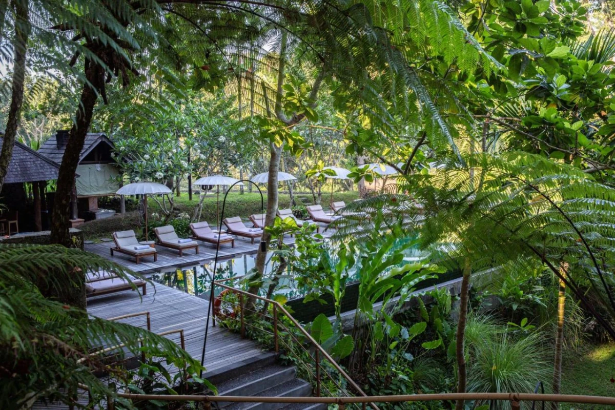 Komaneka at Bisma - Hotel Photo 5