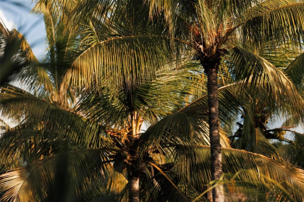 One&Only Le Saint Geran - Hotel Photo 77