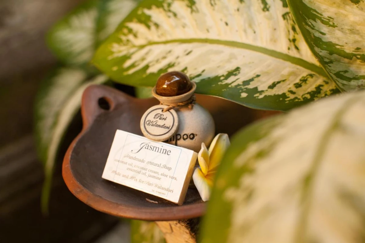 Puri Wulandari Boutique Resort & Spa - Hotel Photo 11