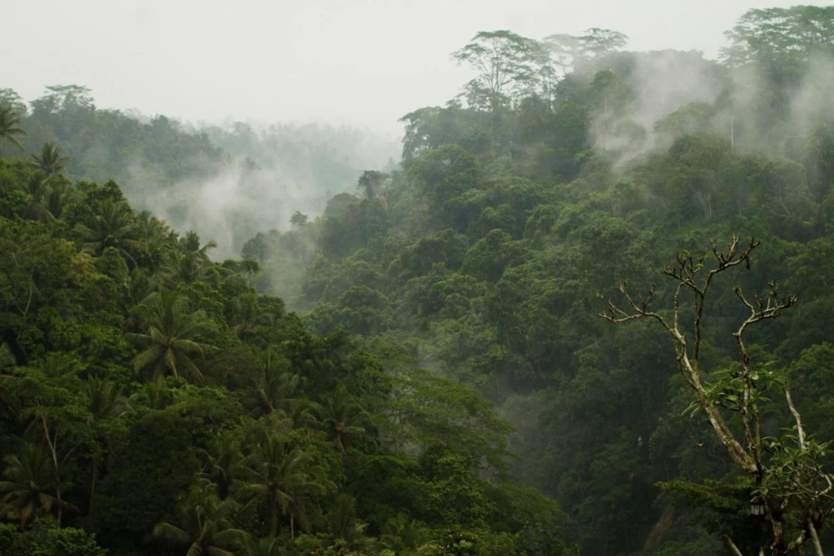 Puri Wulandari Boutique Resort & Spa - Hotel Photo 14