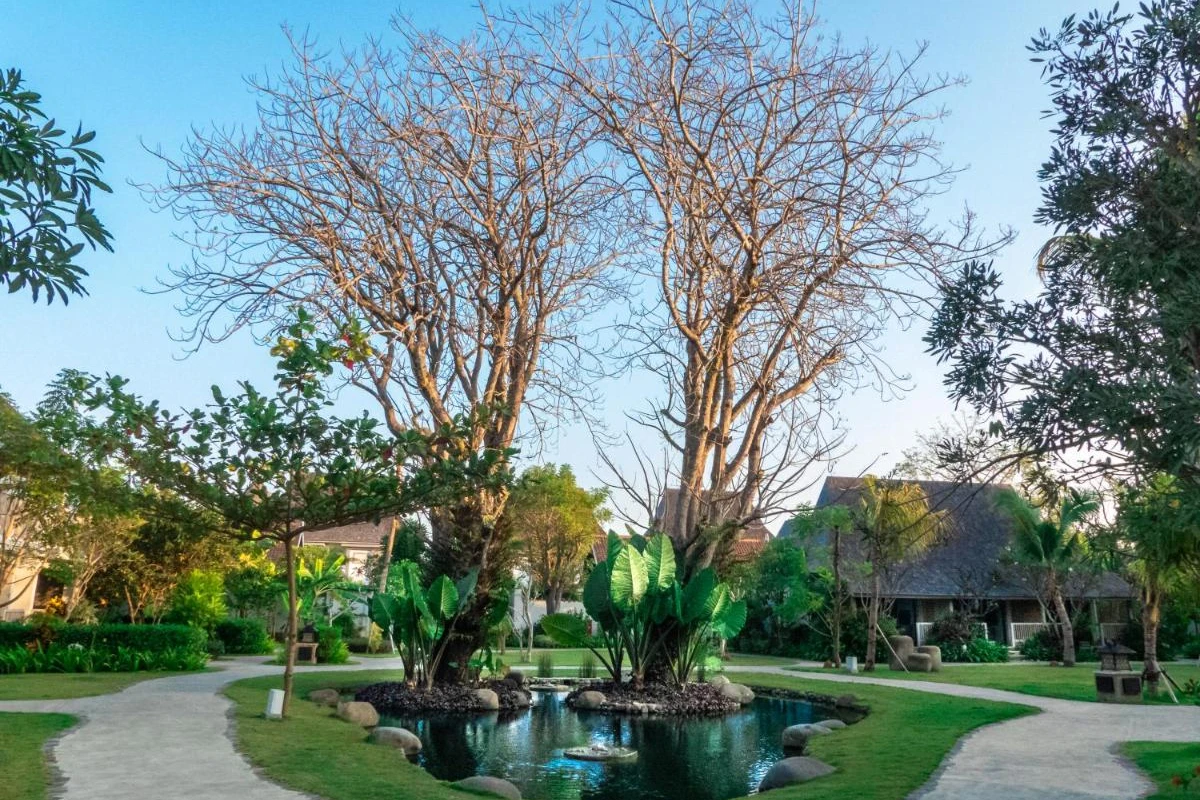 Sudamala Resort Komodo - Hotel Photo 5