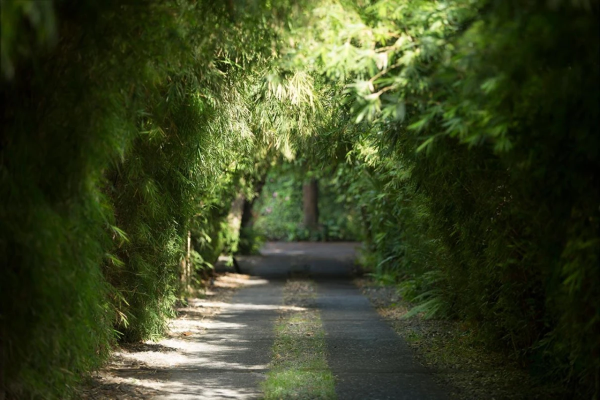 The Pavilions Bali - Hotel Photo 4