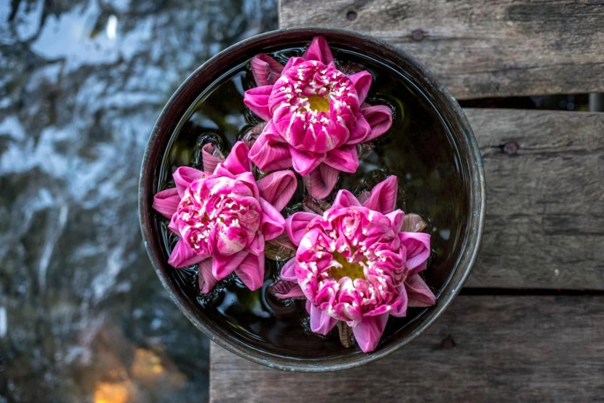 Song Saa Private Island - Hotel Photo 30