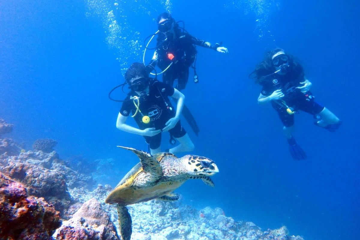 Furaveri Maldives - Hotel Photo 10