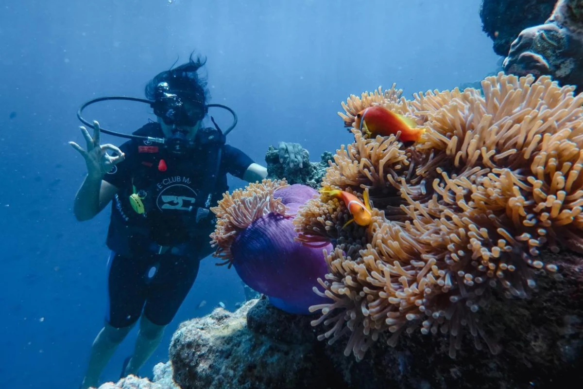 Furaveri Maldives - Hotel Photo 33