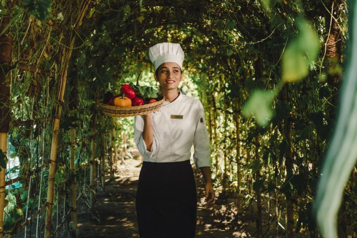 Furaveri Maldives - Hotel Photo 35