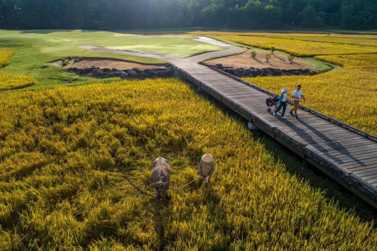 Angsana Lang Co - Hotel Photo 18