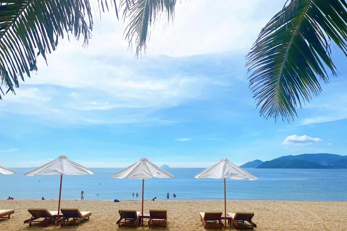 Potique Hotel - Hotel Photo 10