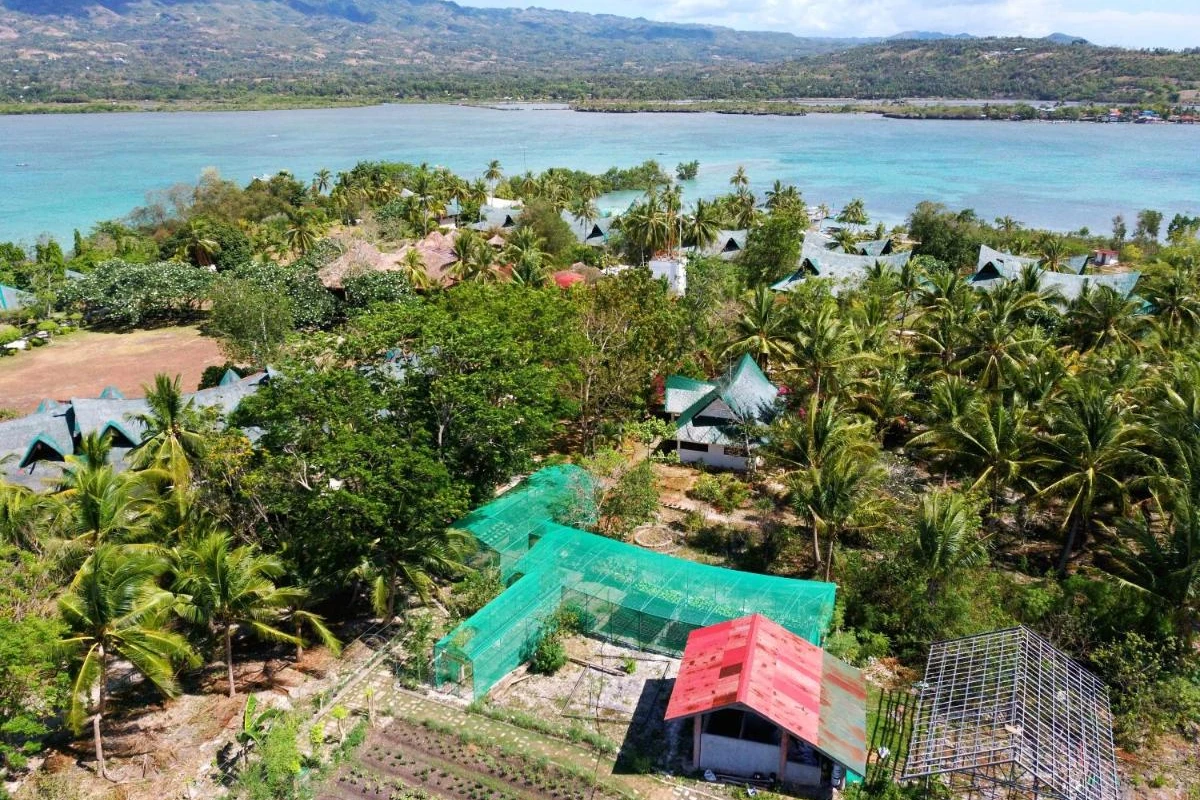 Badian Island Wellness Resort - Hotel Photo 18