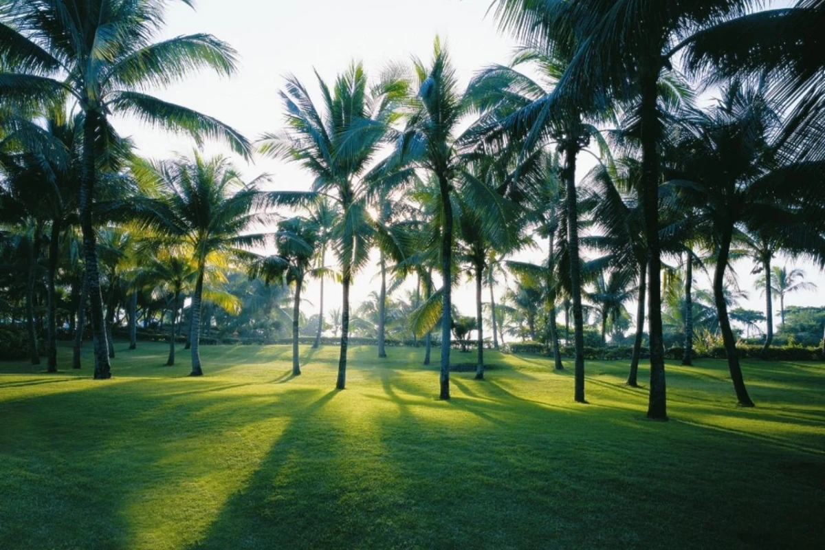 Shangri-La Mactan Cebu - Hotel Photo 12