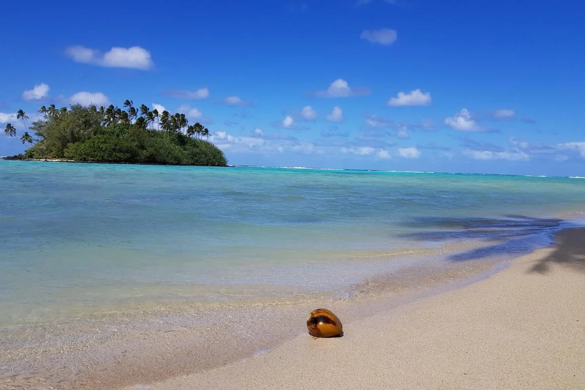 Nautilus Resort Rarotonga - Hotel Photo 47
