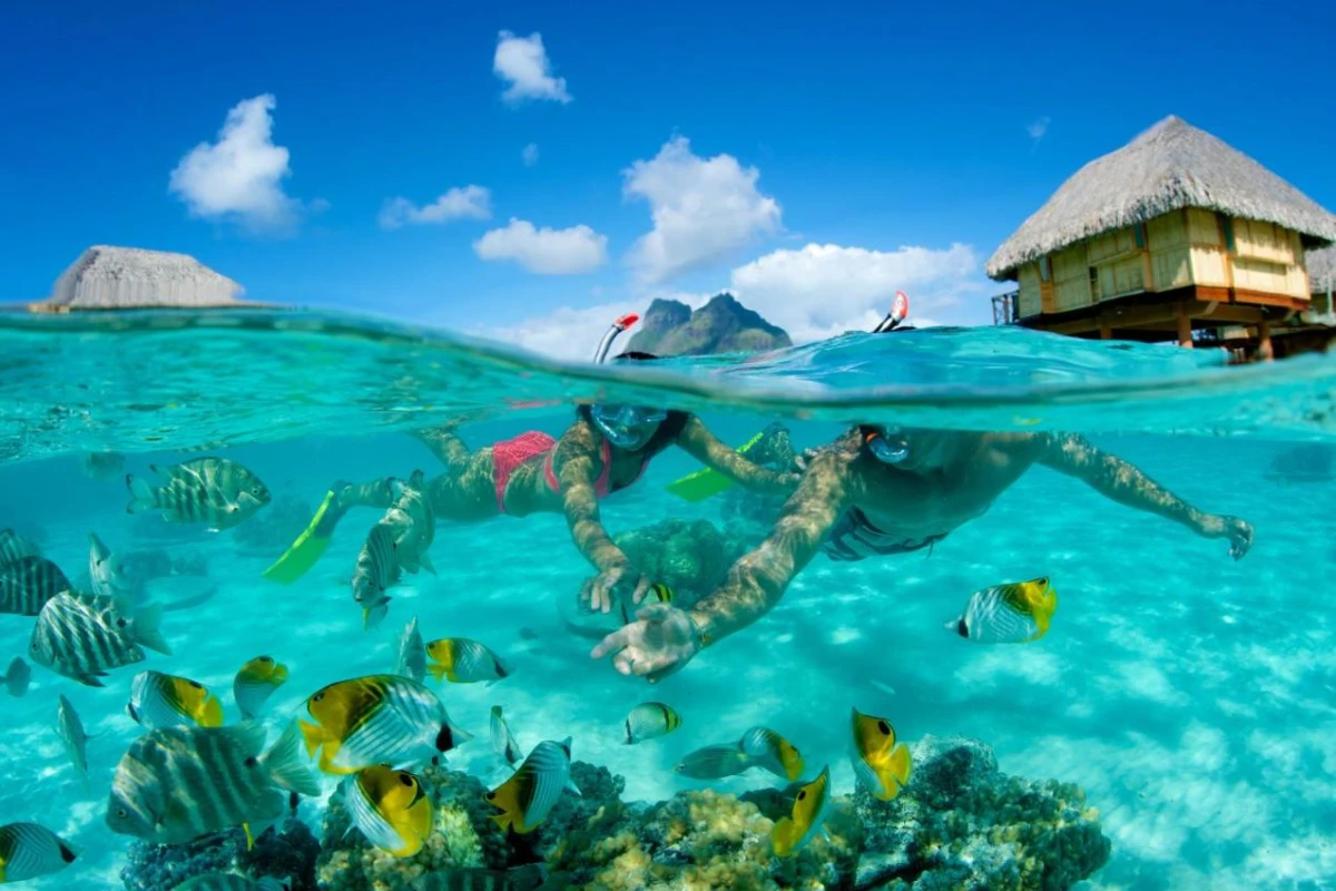 Le Bora Bora By Pearl Resorts - Hotel Photo 21