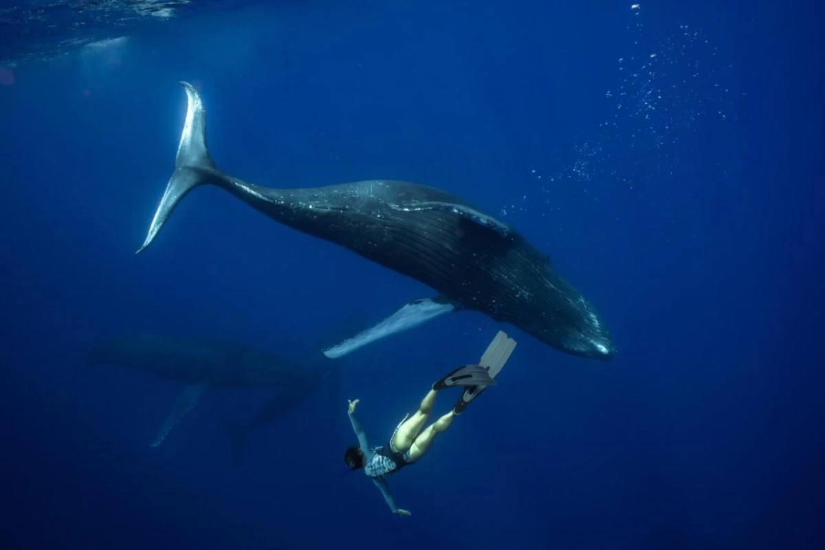 Intercontinental Bora Bora Le Moana Resort - Hotel Photo 17