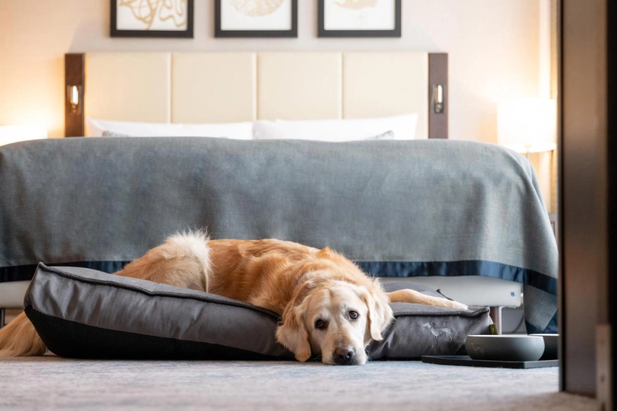 Hotel Ko59 - Hotel Photo 16