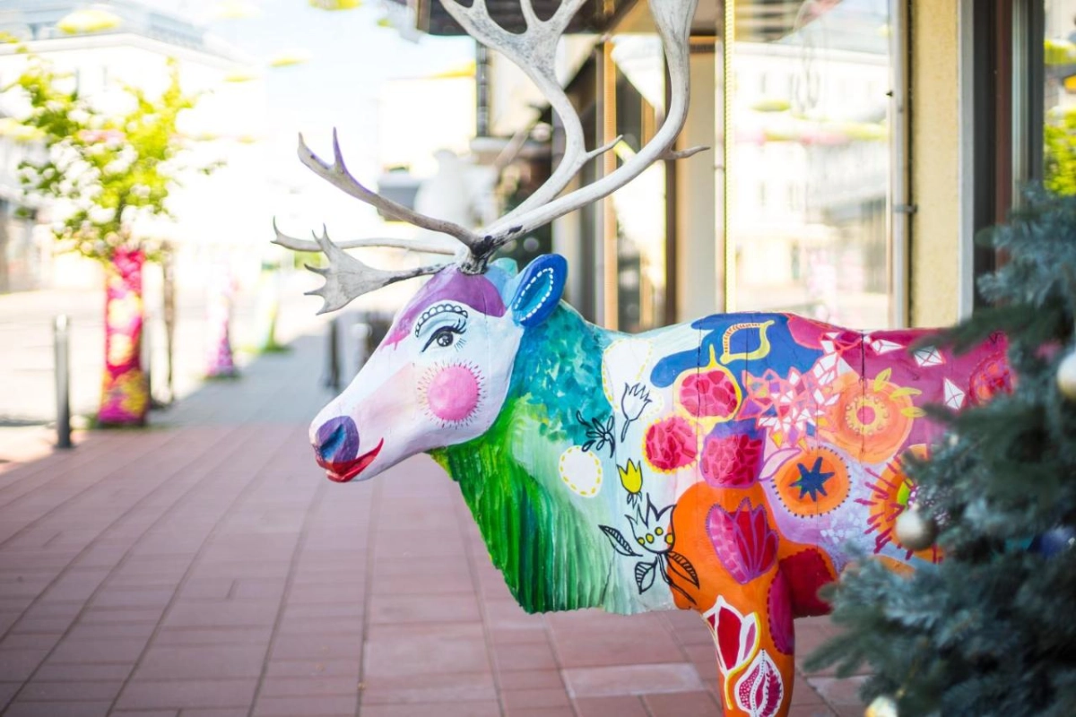 Arctic Light Hotel - Hotel Photo 21